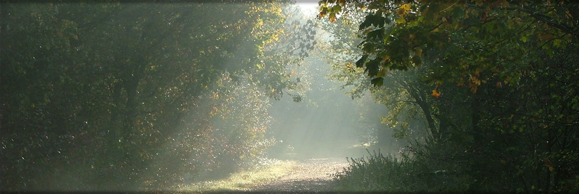 Herbststimmung an der Xantener Nordsee